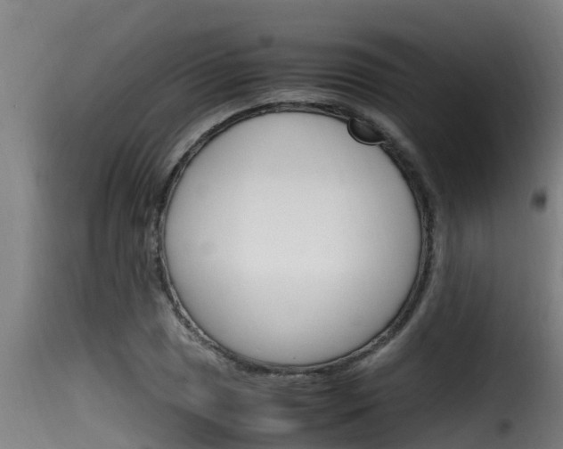 X0000116101025200911230927