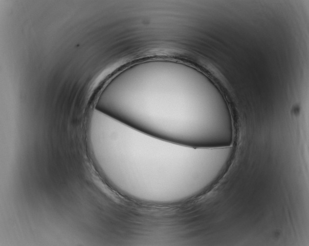 X0000116101026200911230927