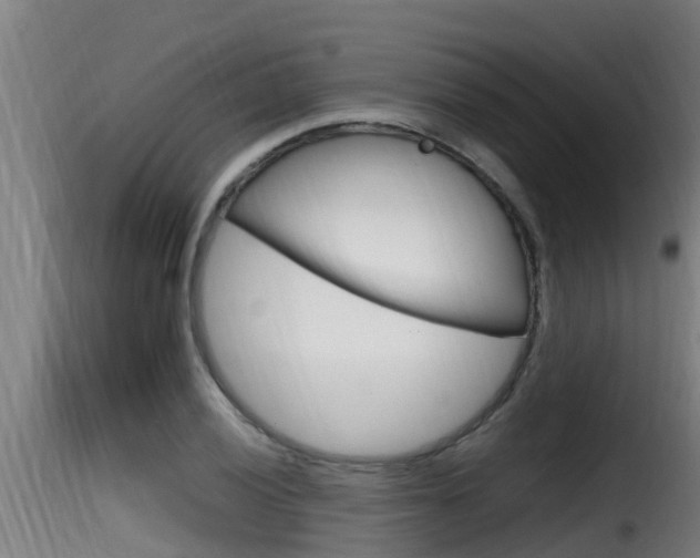 X0000116101028200911230927