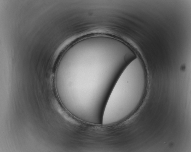 X0000116101029200911230927