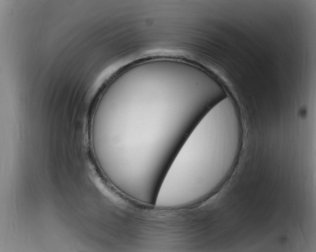 X0000116101030200911230927