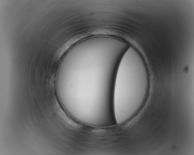 X0000116101033200911230927