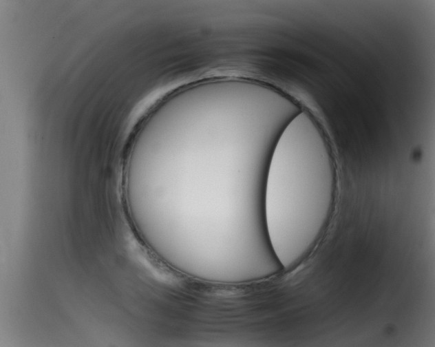 X0000116101035200911230927