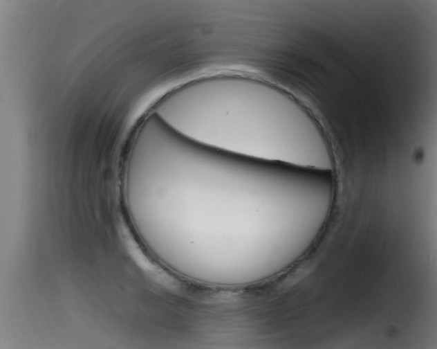 X0000116101038200911230927