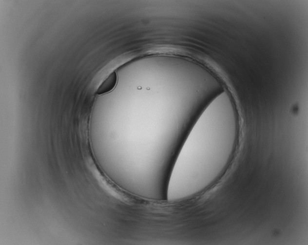 X0000116101041200911230927