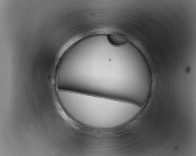 X0000116101042200911230927
