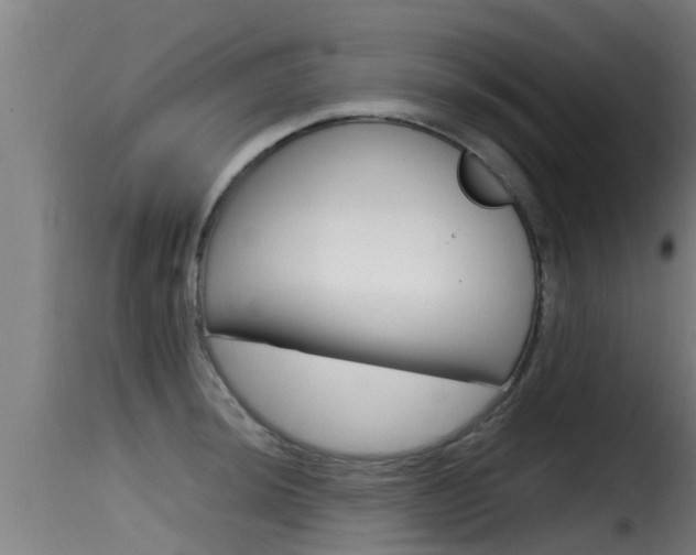 X0000116101044200911230928