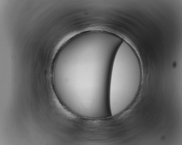 X0000116101045200911230928
