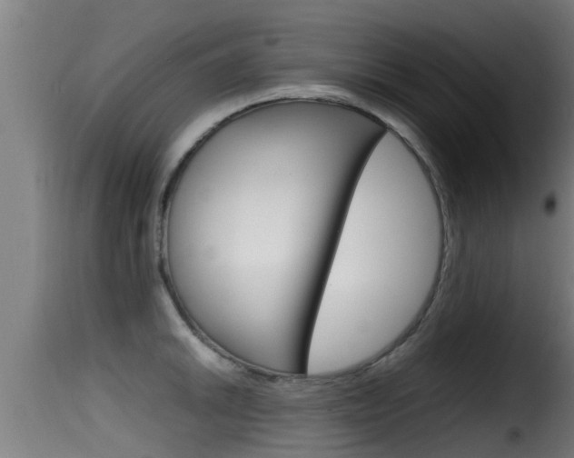 X0000116101046200911230928