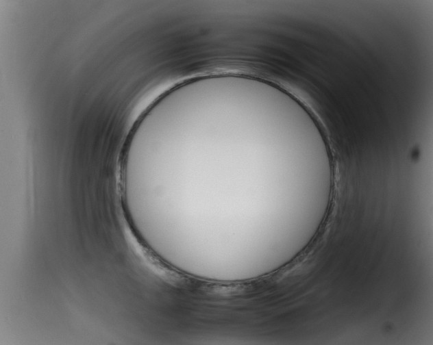 X0000116101047200911230928