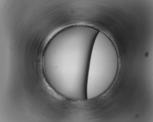 X0000116101048200911230928