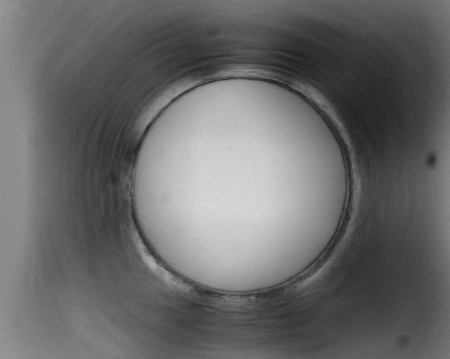 X0000116101049200911230928