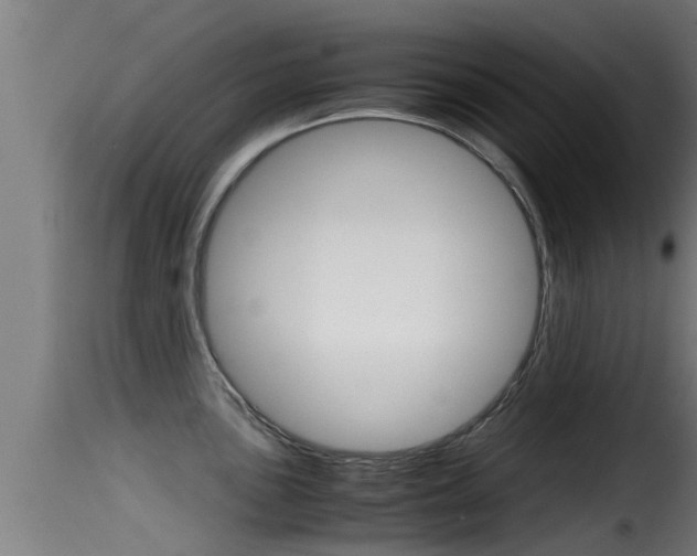 X0000116101051200911230928