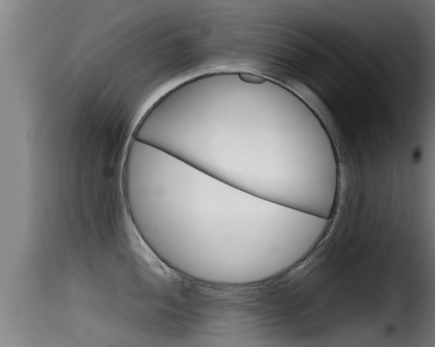 X0000116101052200911230928
