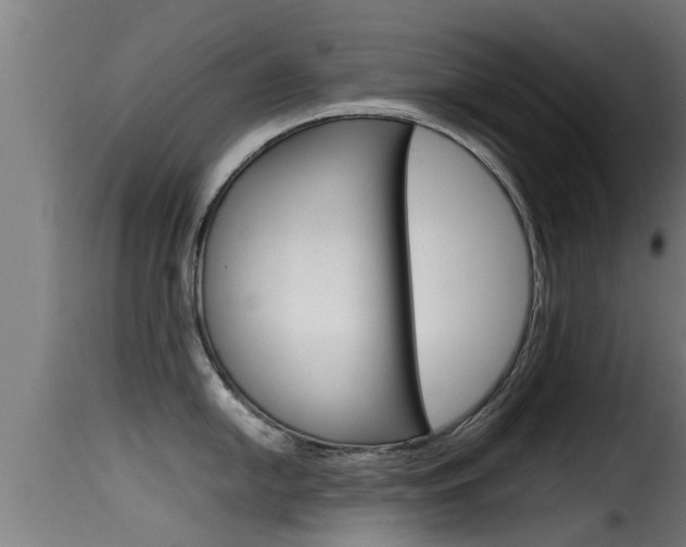 X0000116101054200911230928