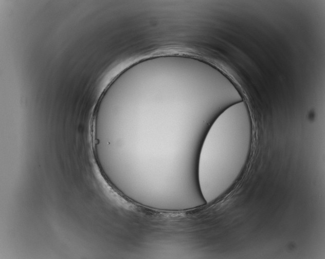 X0000116101055200911230928