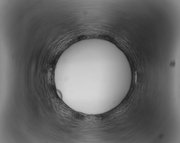 X0000116101059200911230927