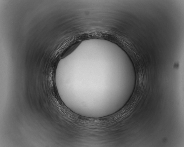 X0000116101060200911230927