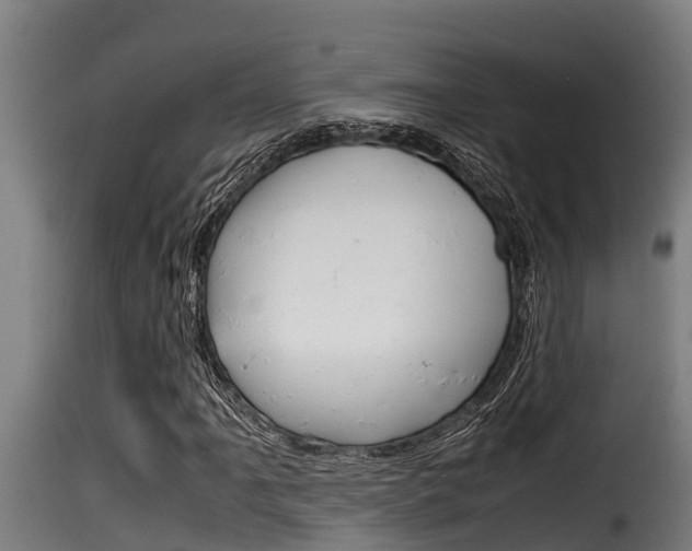 X0000116101061200911230927