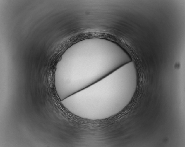 X0000116101062200911230927