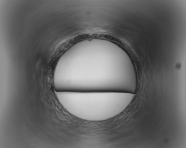 X0000116101063200911230927