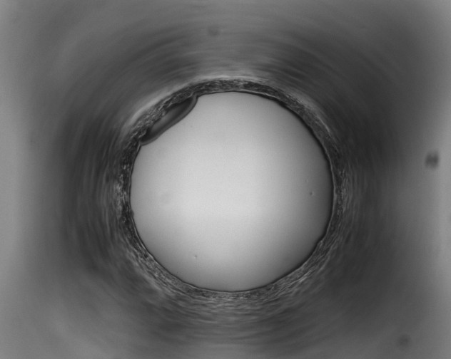X0000116101064200911230927