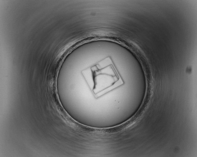 X0000116101065200911230927