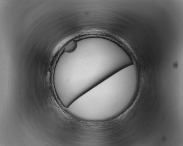 X0000116101066200911230927