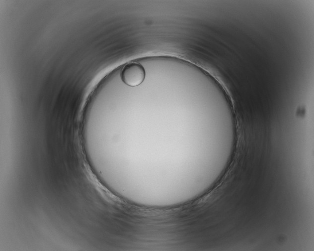 X0000116101072200911230927