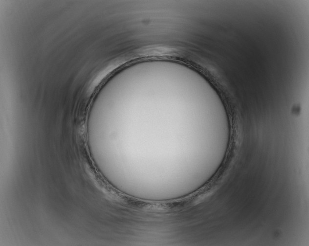 X0000116101073200911230927