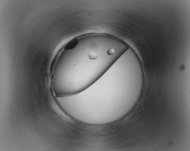 X0000116101080200911230927