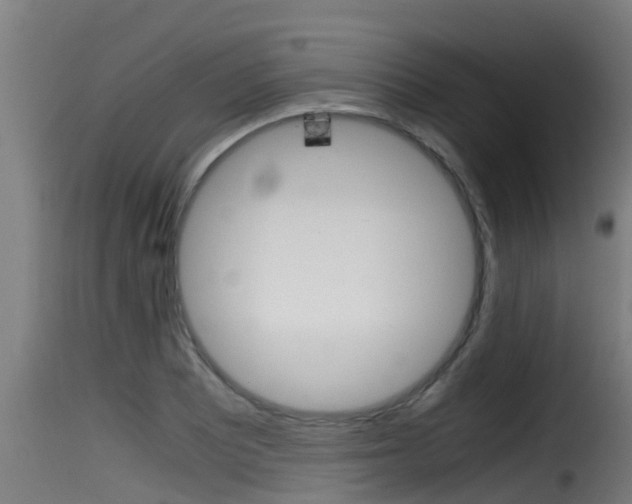 X0000116101081200911230927