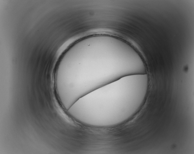 X0000116101082200911230927