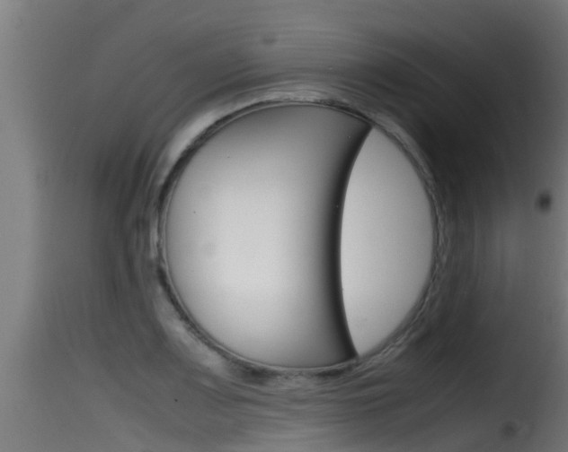 X0000116101083200911230927