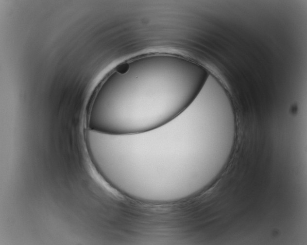 X0000116101084200911230926