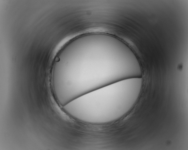 X0000116101086200911230926