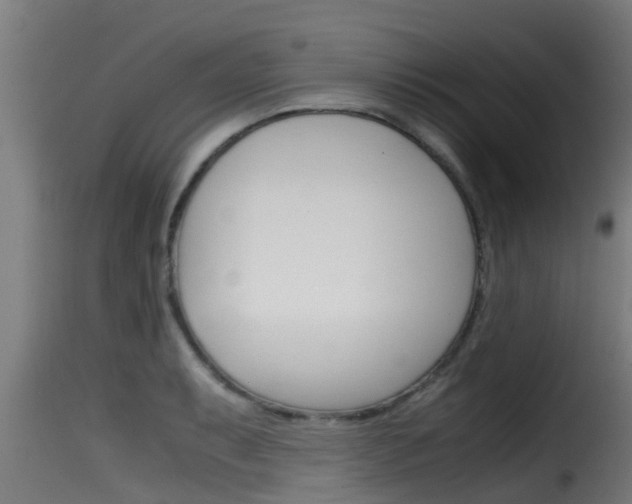 X0000116101087200911230926