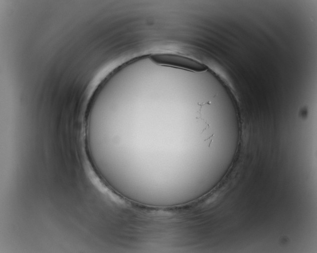 X0000116101088200911230926