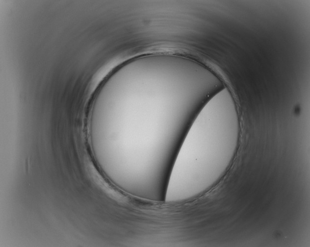 X0000116101091200911230926