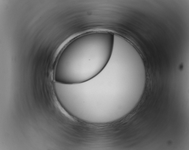 X0000116101092200911230926