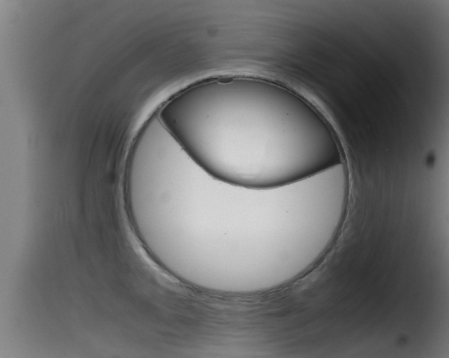 X0000116101093200911230926