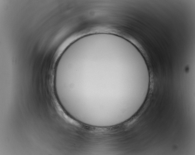 X0000116101094200911230926