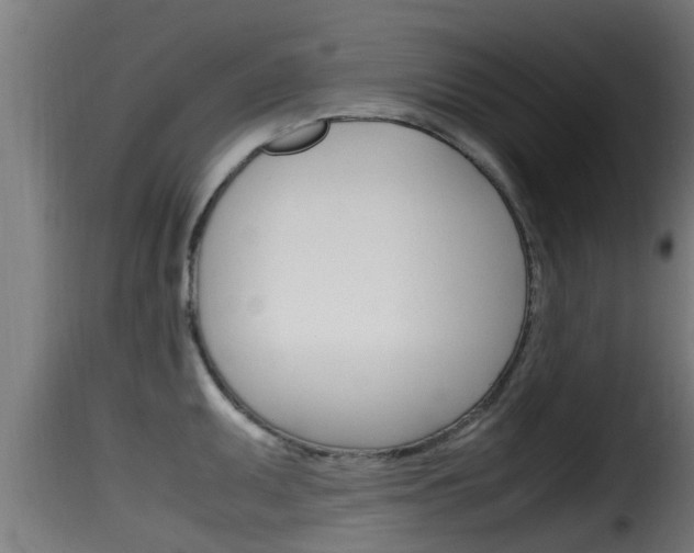 X0000116101095200911230926