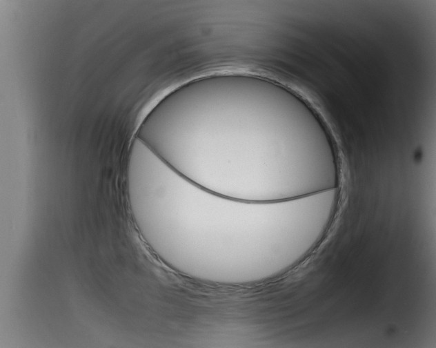 X0000116101097200911230926