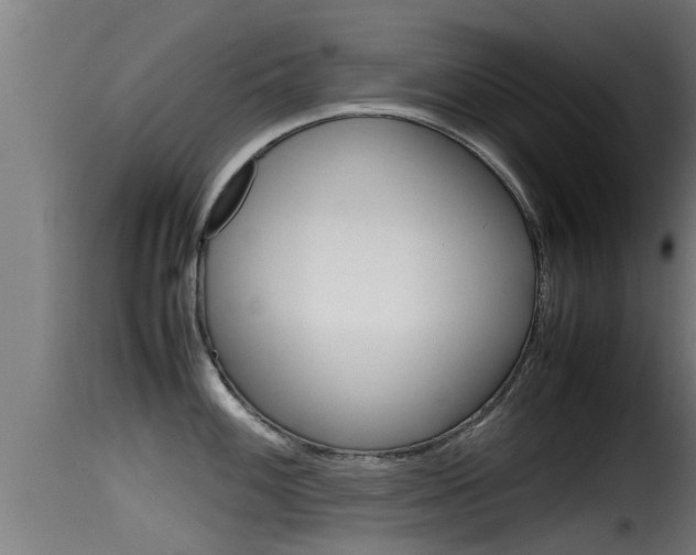 X0000116101100200911230926