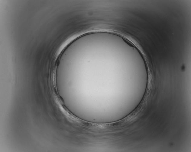 X0000116101101200911230926