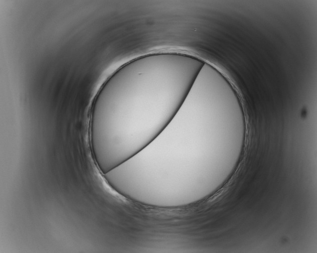 X0000116101102200911230926