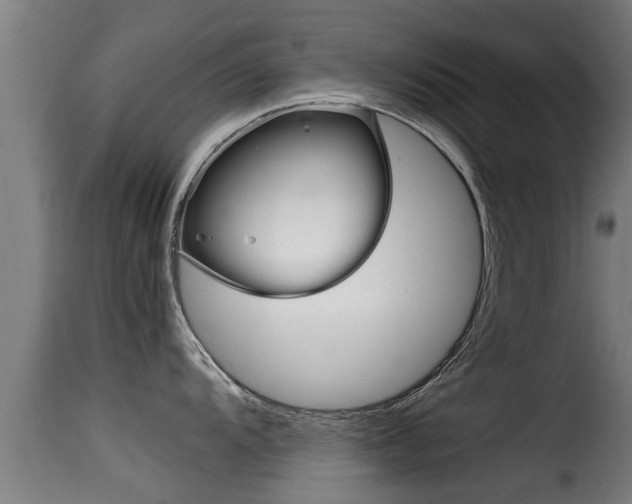 X0000116101104200911230926