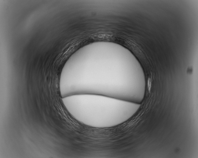 X0000116101107200911230926