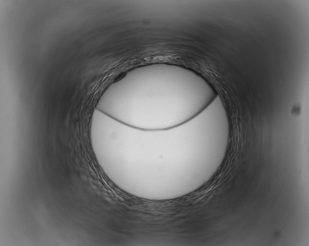 X0000116101109200911230926
